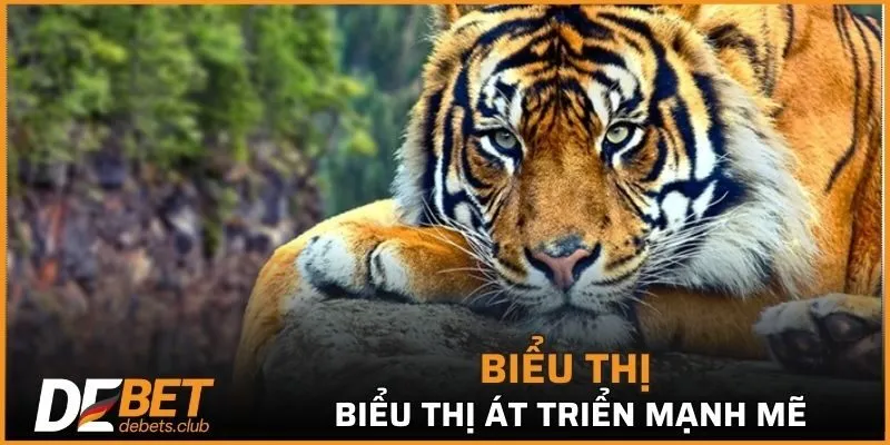 Nằm Mơ Thấy Hổ - Dự Báo Điều Xảy Ra Trong Tương Lai 2026