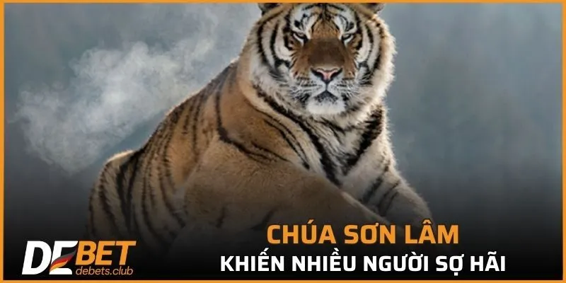 Nằm Mơ Thấy Hổ - Dự Báo Điều Xảy Ra Trong Tương Lai 2026