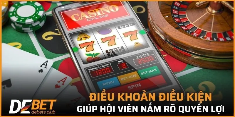 Điều Khoản Điều Kiện – Cam Kết 5 Sao Về Trách Nhiệm 2026