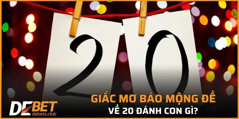 Đề Về 20 – Cách Soi Cầu Dễ Trúng Nhất Cho Người Mới 2026