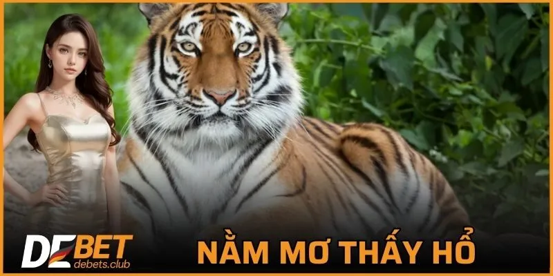 Nằm Mơ Thấy Hổ - Dự Báo Điều Xảy Ra Trong Tương Lai 2026