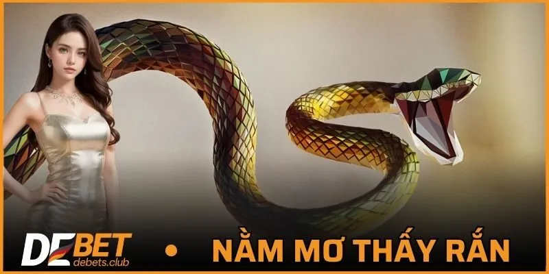 Nằm Mơ Thấy Rắn - Tìm Hiểu Giải Mã Bởi Chuyên Gia 2026