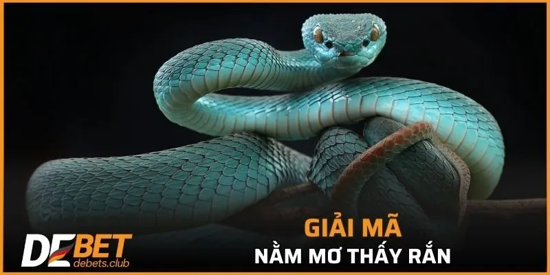 Nằm Mơ Thấy Rắn - Tìm Hiểu Giải Mã Bởi Chuyên Gia 2026