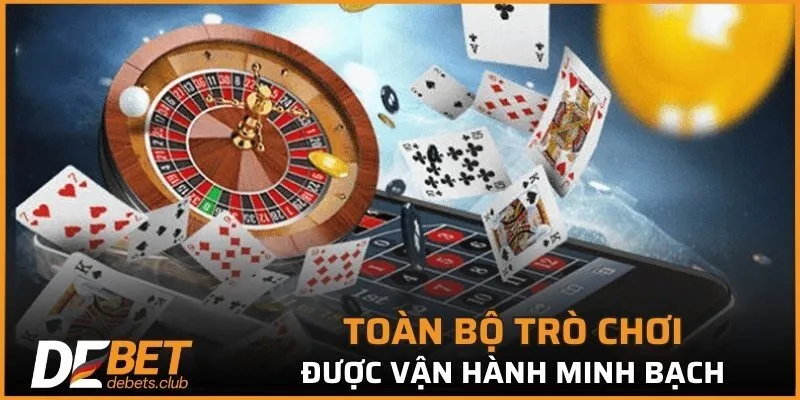 Điều Khoản Điều Kiện – Cam Kết 5 Sao Về Trách Nhiệm 2026