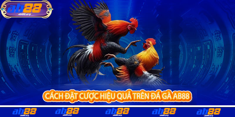 Đá Gà AB88 - Đỉnh cao đam mê, thắng lớn rực lửa