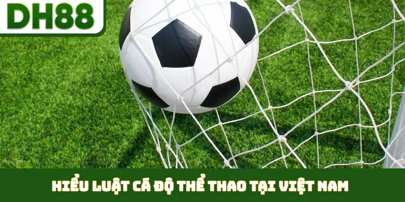 Luật Cá Độ Thể Thao Tại Việt Nam Theo Thông Tin Từ DH88