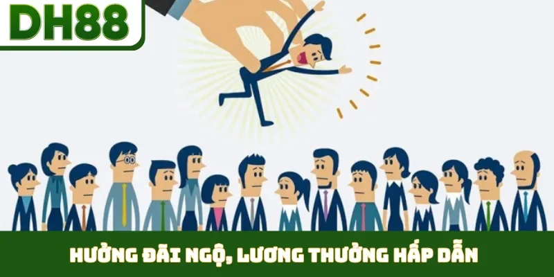 Tuyển Dụng DH88 - Mở Ra Cơ Hội Sự Nghiệp Phát Triển