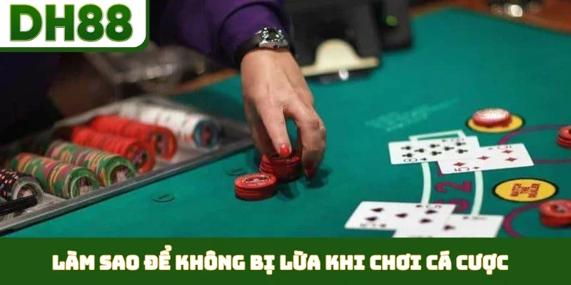 DH88 Lý Giải Làm Sao Để Không Bị Lừa Khi Chơi Cá Cược