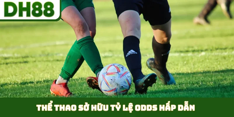 Nhà Cái Tỷ Lệ Cao - Khám Phá Lợi Thế Giải Trí Tại DH88