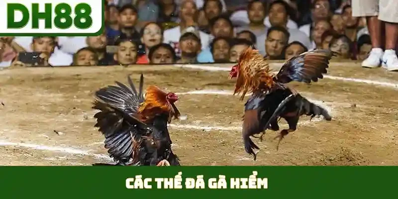 PP Gaming - Khám Phá Sảnh Casino Đẳng Cấp Tại DH88