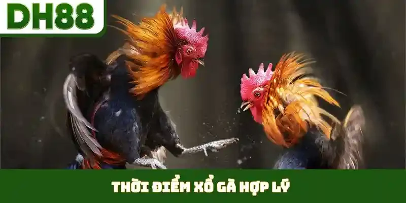 PP Gaming - Khám Phá Sảnh Casino Đẳng Cấp Tại DH88